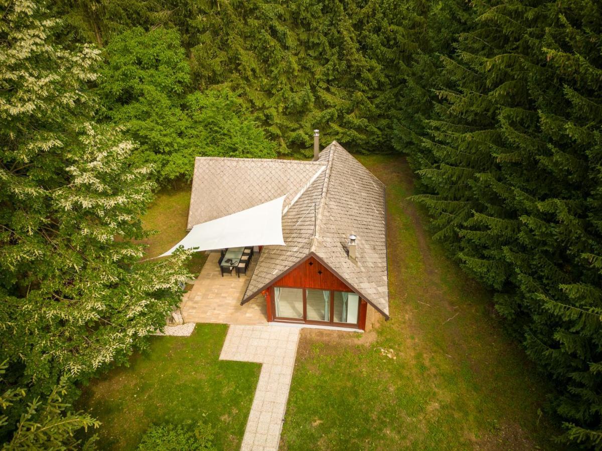 Cebelnk: Sanjska Hisica 4 Km Od Bleda Villa Lesce  Exterior photo